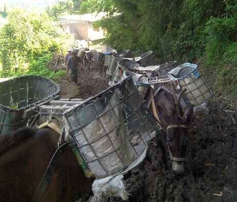 白云区马帮搬运