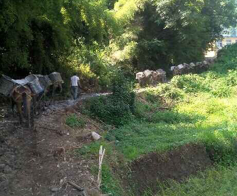 白云区马帮运输队