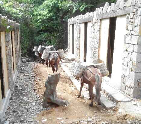 白云区马队运输队