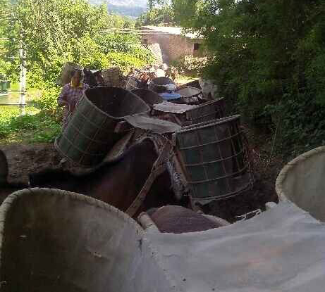 白云区骡马运输队