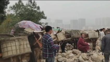 白云区骡马山区运输