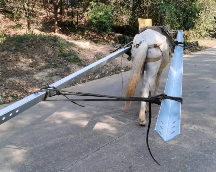 白云区马队搬运