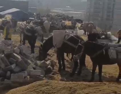 白云区马队山路运输