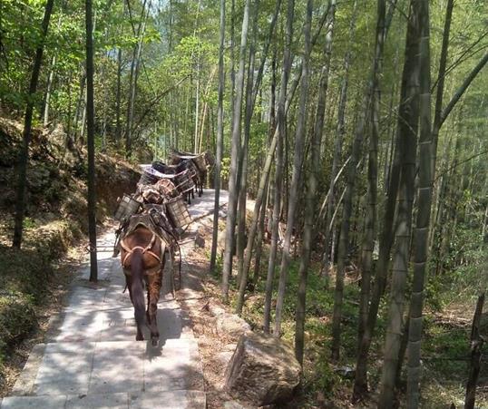 白云区山路马队运输