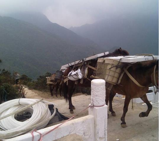 白云区山区马帮运输